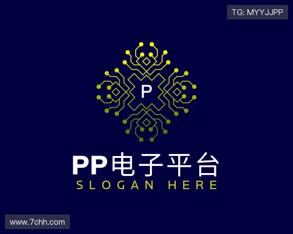 关于pp电子平台